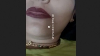 Indian wife unveils her large breasts in an erotic film