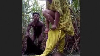 A lover of the Desi culture explores erotic play with sugarcane in the field