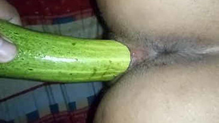 A husband pleasuring his Indian wife with a large cucumber and she enjoys it
