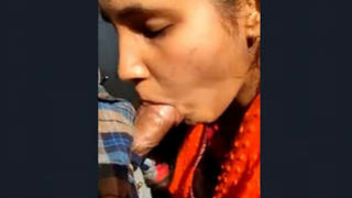 Seductive Indian beauty performs oral sex and gets penetrated by her instructor