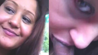 Alluring Indian aunt performs oral sex in a vehicle.