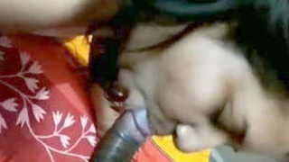 Indian wife gives oral and vaginal pleasure to chubby penis