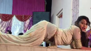 A charming Indian girl performs a sensual dance