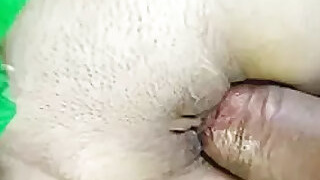 Gorgeous Kashmiri Girl Having Sex Outdoors Mms