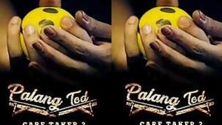 Palang Todd the Caretaker 2 Part 1 Episode 1