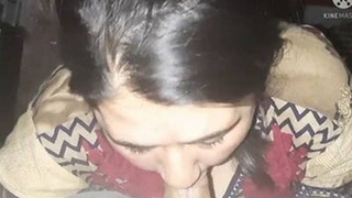 Seductive bhabi gives a sensual blowjob in PK